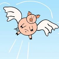 FlyingPig